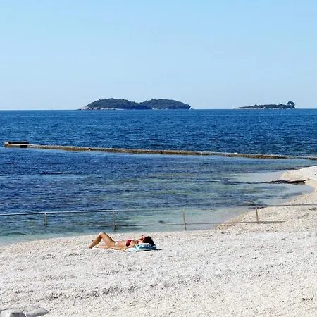 Apartment By The Sea - 17935 Rovinj